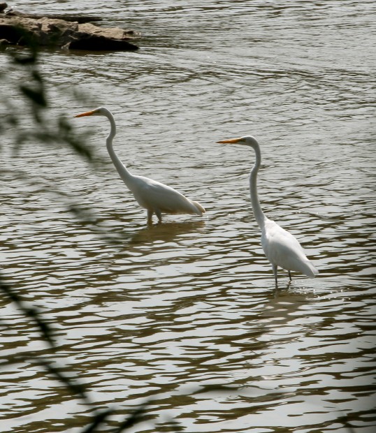 ON THE WATER